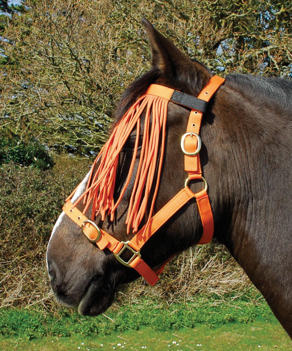 Rhinegold Frange Anti-Mouches - SHOP HORSE